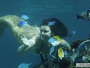 Фото сериала H2O: Просто добавь воды