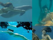 Фото сериала H2O: Просто добавь воды