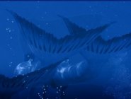 Фото сериала H2O: Просто добавь воды