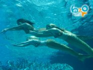 Обои сериала H2O: Просто добавь воды