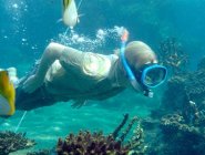 Фото сериала H2O: Просто добавь воды