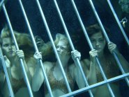 Фото сериала H2O: Просто добавь воды
