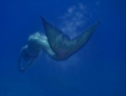 Фото сериала H2O: Просто добавь воды