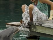Фото сериала H2O: Просто добавь воды