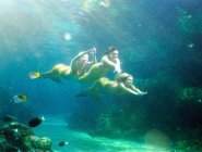 Фото сериала H2O: Просто добавь воды