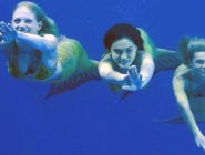 Фото сериала H2O: Просто добавь воды