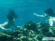 Фото сериала H2O: Просто добавь воды