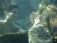 Фото сериала H2O: Просто добавь воды