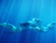 Фото сериала H2O: Просто добавь воды