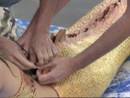 Фото сериала H2O: Просто добавь воды