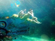 Фото сериала H2O: Просто добавь воды