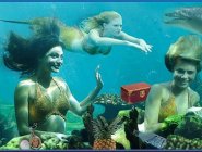 Фото сериала H2O: Просто добавь воды
