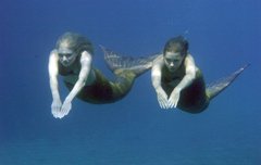 В горячей воде