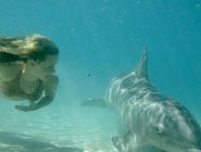Фото сериала H2O: Просто добавь воды