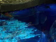 Фото сериала H2O: Просто добавь воды