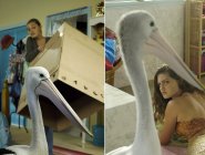 Фото сериала H2O: Просто добавь воды