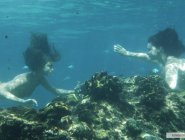 Фото сериала H2O: Просто добавь воды