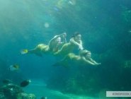 Фото сериала H2O: Просто добавь воды