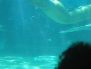 Фото сериала H2O: Просто добавь воды