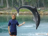Фото сериала H2O: Просто добавь воды