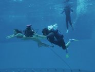 Фото сериала H2O: Просто добавь воды