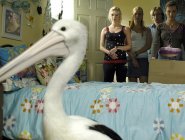 Фото сериала H2O: Просто добавь воды