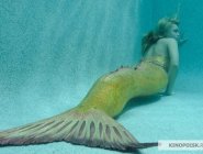 Фото сериала H2O: Просто добавь воды