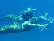 Фото сериала H2O: Просто добавь воды